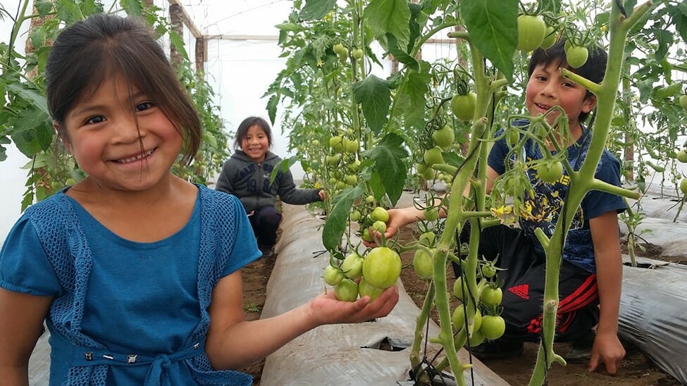 Three children in Guatamela posing with plants, part of our Educamos school feeding program
